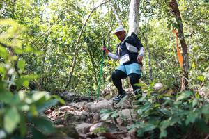 BIB: 
                            <button type="button" onclick="openModal(27701555)" class="btn btn-primary btn-sm float-right btn-popup" data-toggle="modal" data-target=".modal-high-quality">
                        <i class="fas fa-shopping-cart"></i> Add to Cart
                    </button>
                                            <button type="button" onclick="isThisMe(27701555, true)" class="btn btn-success btn-sm float-right btn-popup btn-isme hidden" data-toggle="tooltip" data-placement="bottom" title="นี่คือรูปของคุณใช่ไหม คลิกที่นี่เพื่อเอาเข้าอัลบั้ม">
                        <i class="fas fa-plus"></i> Add to album
                    </button>
                    <button type="button" onclick="isThisMe(27701555, false)" class="btn btn-warning btn-sm float-right btn-popup btn-isnotme hidden">
                        <i class="fas fa-ban"></i> Remove from album
                    </button>